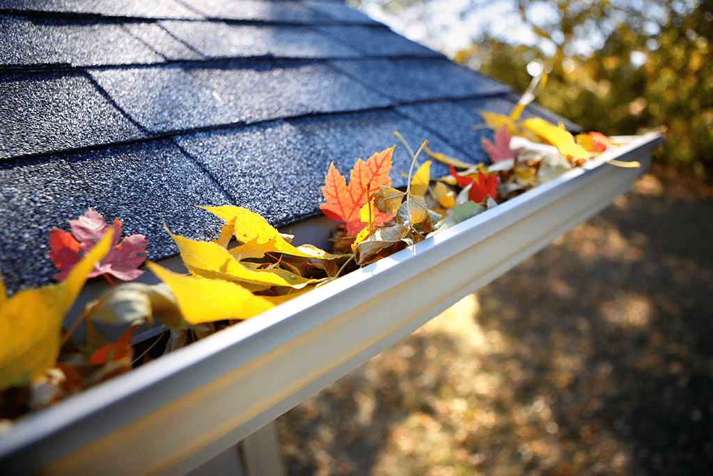 gutter-cleaning-service-madison-ms-01